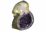 Purple Amethyst Geode - Uruguay #118394-2